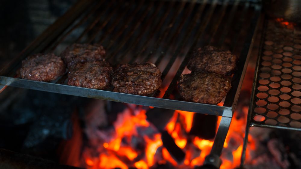 Grillthermometer im Vergleich