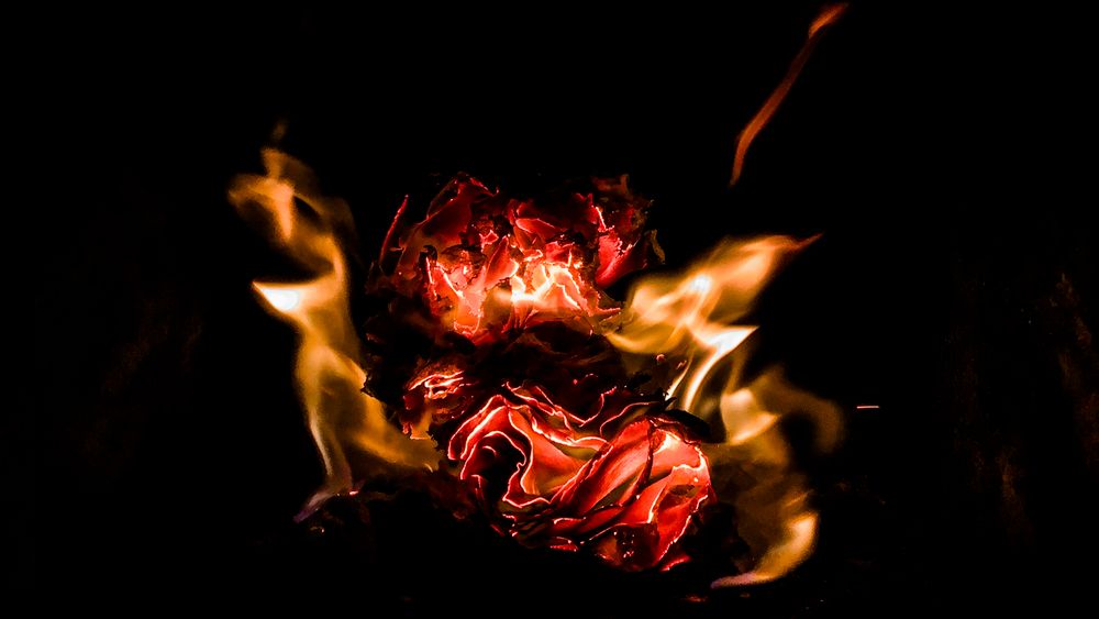 Kamado-Grills im Vergleich